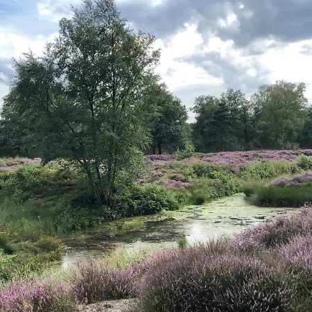 Bed and Breakfast De Kerk 3*