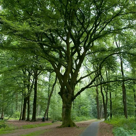 De Kerk לינה וארוחת בוקר 3*