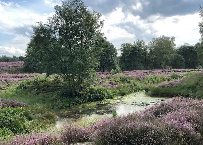 Bed & Breakfast De Kerk 3*