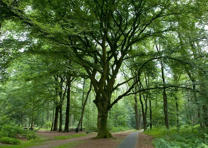 De Kerk Alojamento de Acomodação e Pequeno-almoço 3*