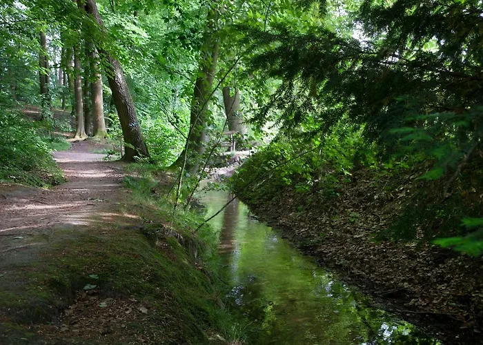 Bed & Breakfast De Kerk